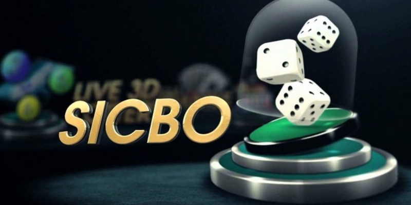 Bí quyết chơi Sic Bo luôn thắng